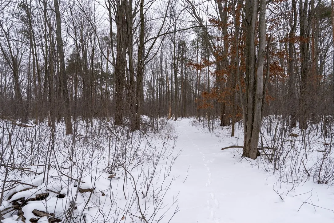 4683 Parker Road, Hamburg, New York 14075, Hamburg, New York 14075, 3 Bedrooms Bedrooms, 6 Rooms Rooms,1 BathroomBathrooms,Residential,Closed,4683 Parker Road, Hamburg, New York 14075,0,R1585022