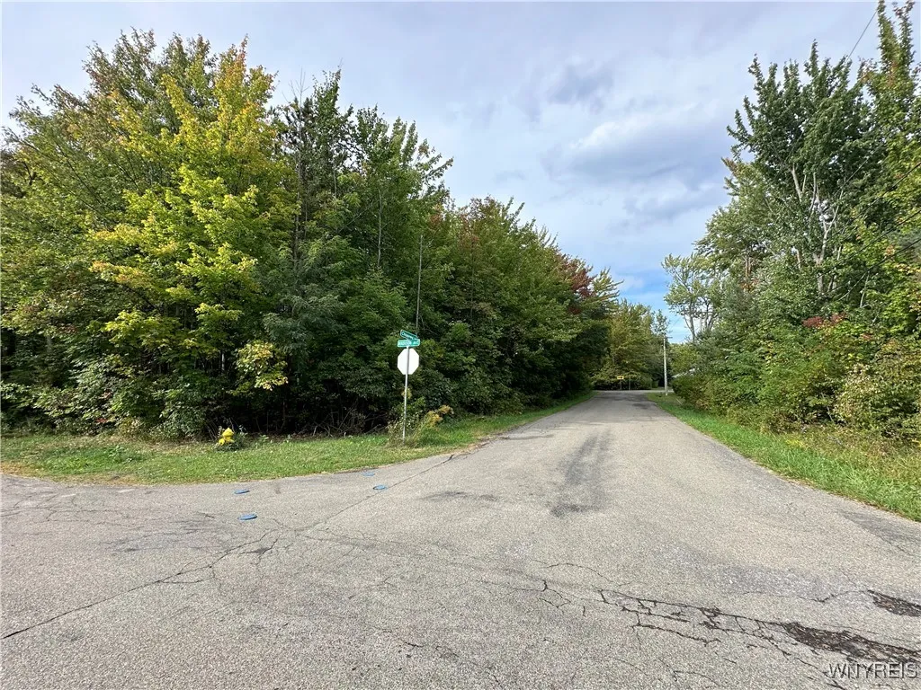 9528 Chippewa Street, Evans, New York 14006, Evans, New York 14006, ,Land,For Sale,9528 Chippewa Street, Evans, New York 14006,0,B1585348