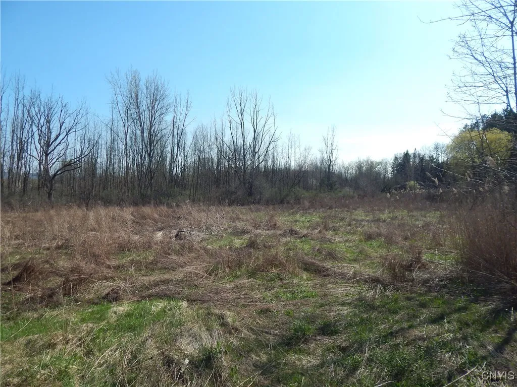 2748 Pineridge Road, Sullivan, New York 13032, Sullivan, New York 13032, 5 Bedrooms Bedrooms, 10 Rooms Rooms,2 BathroomsBathrooms,Residential,Closed,2748 Pineridge Road, Sullivan, New York 13032,0,S1585005