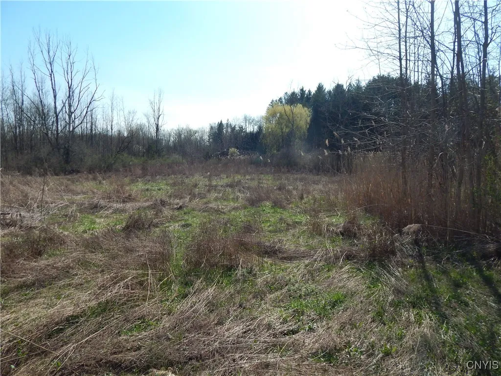 2748 Pineridge Road, Sullivan, New York 13032, Sullivan, New York 13032, 5 Bedrooms Bedrooms, 10 Rooms Rooms,2 BathroomsBathrooms,Residential,Closed,2748 Pineridge Road, Sullivan, New York 13032,0,S1585005