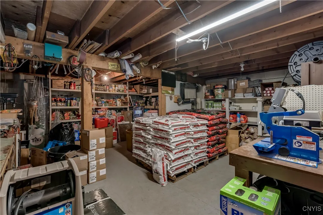 Basement storage area/bird feed