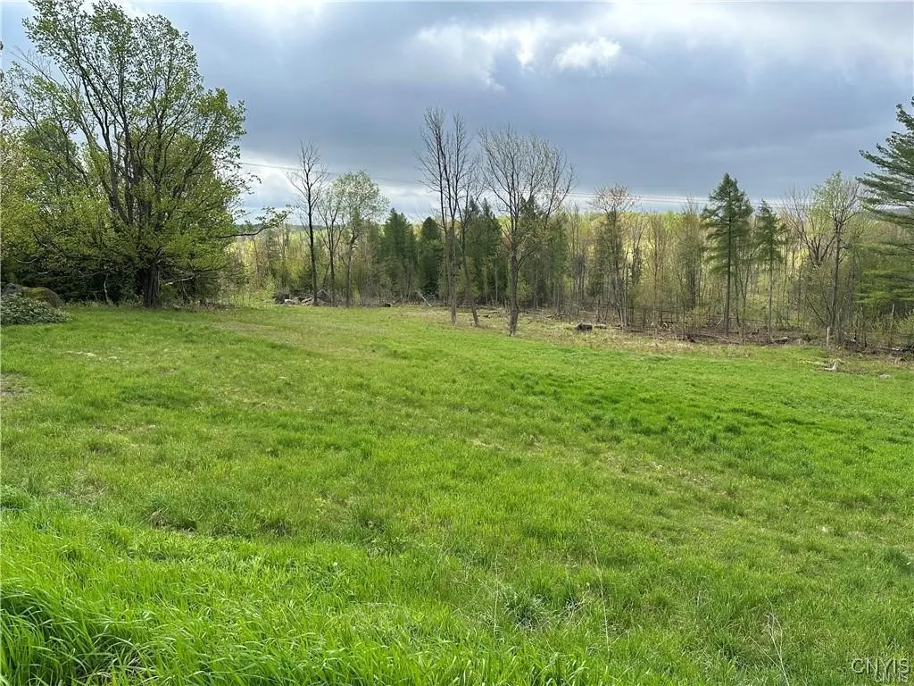 Lot 2a Nys Route 126, Champion, New York 13619, Champion, New York 13619, ,Land,For Sale,Lot 2a Nys Route 126, Champion, New York 13619,0,S1585507
