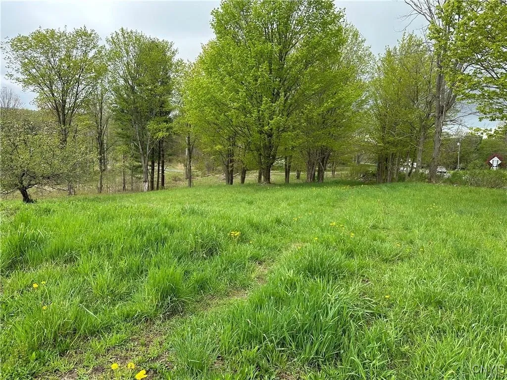 Lot 2a Nys Route 126, Champion, New York 13619, Champion, New York 13619, ,Land,For Sale,Lot 2a Nys Route 126, Champion, New York 13619,0,S1585507