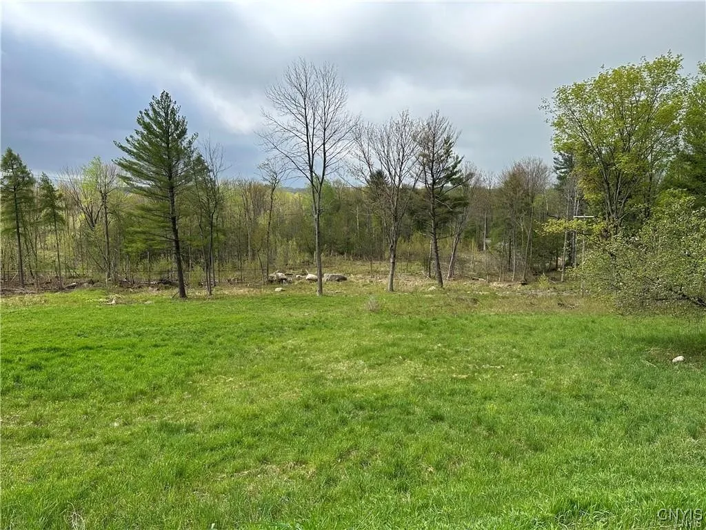 Lot 2a Nys Route 126, Champion, New York 13619, Champion, New York 13619, ,Land,For Sale,Lot 2a Nys Route 126, Champion, New York 13619,0,S1585507