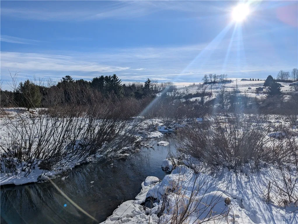 638 Phillip Odell Road, Guilford, New York 13809, Guilford, New York 13809, ,Land,For Sale,638 Phillip Odell Road, Guilford, New York 13809,0,R1583135