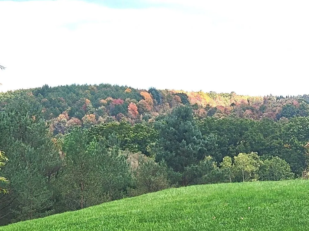 3530 Coats Road, Hector, New York 14818, Hector, New York 14818, 4 Bedrooms Bedrooms, 11 Rooms Rooms,3 BathroomsBathrooms,Residential,Closed,3530 Coats Road, Hector, New York 14818,0,EC276696