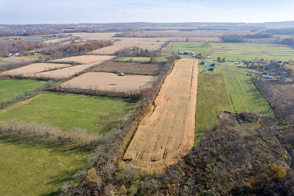 00 Ny 414, Lodi, New York 14860, Lodi, New York 14860, ,Land,For Sale,00 Ny 414, Lodi, New York 14860,0,EC277904 00 Ny 414, Lodi, New York 14860, Lodi, New York 14860, ,Land,For Sale,00 Ny 414, Lodi, New York 14860,0,EC277904