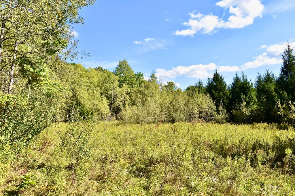 1980 County Rt. 81, Addison, New York 14801, Rathbone, New York 14801, ,Land,For Sale,1980 County Rt. 81, Addison, New York 14801,EC276671