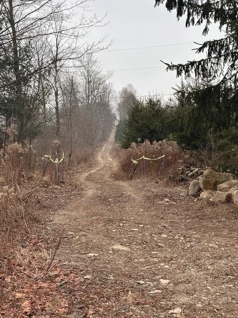 1980 County Rt. 81, Addison, New York 14801, Rathbone, New York 14801, ,Land,For Sale,1980 County Rt. 81, Addison, New York 14801,EC276671