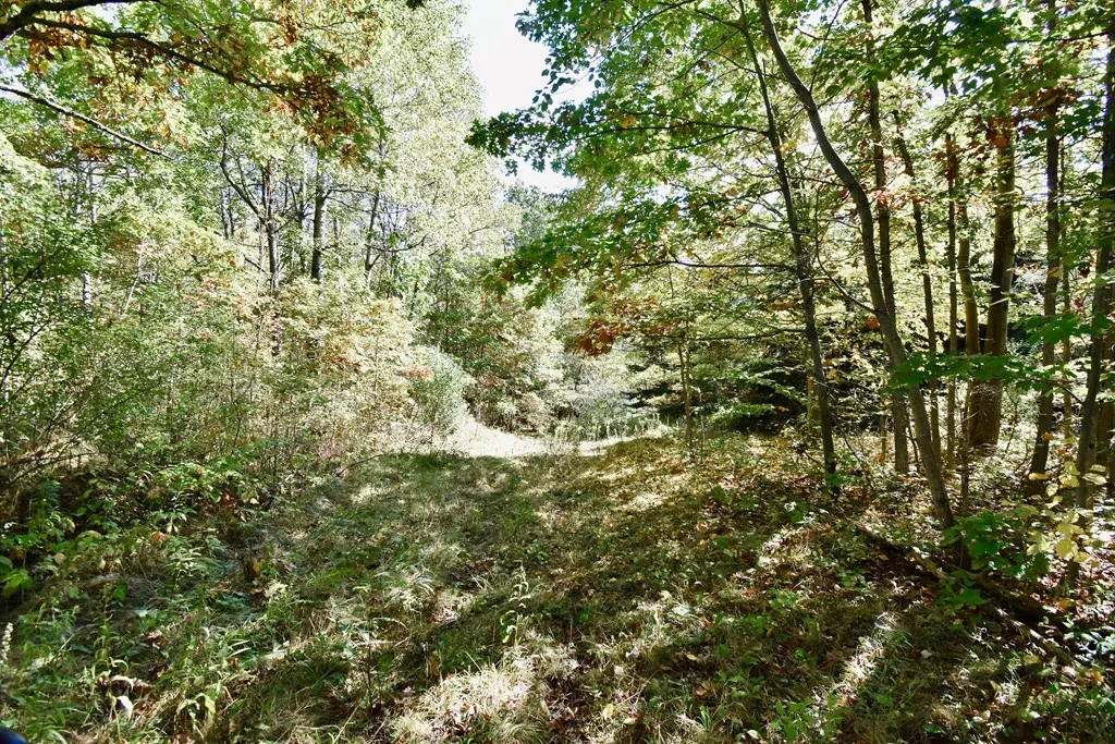 1980 County Rt. 81, Addison, New York 14801, Rathbone, New York 14801, ,Land,For Sale,1980 County Rt. 81, Addison, New York 14801,EC276671
