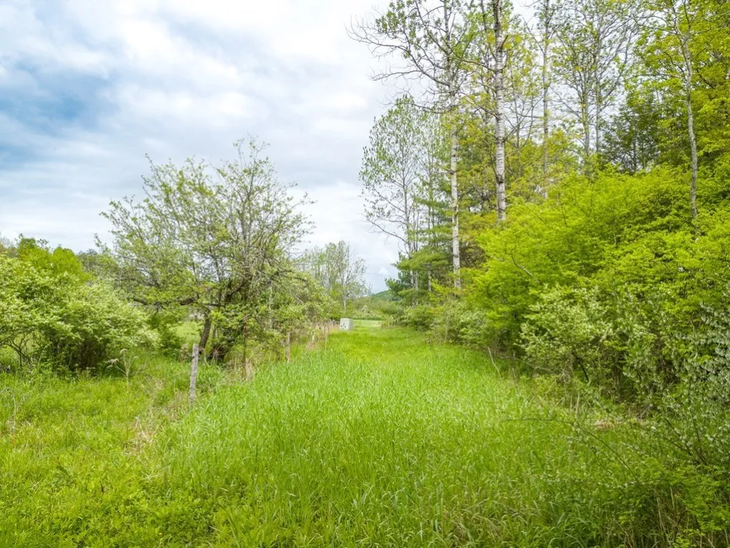 0 Lot A Buckwheat Hollow, None, Pennsylvania None, Lawrence Twp, Pennsylvania 16929, ,Land,Closed,0 Lot A Buckwheat Hollow, None, Pennsylvania None,EC274400