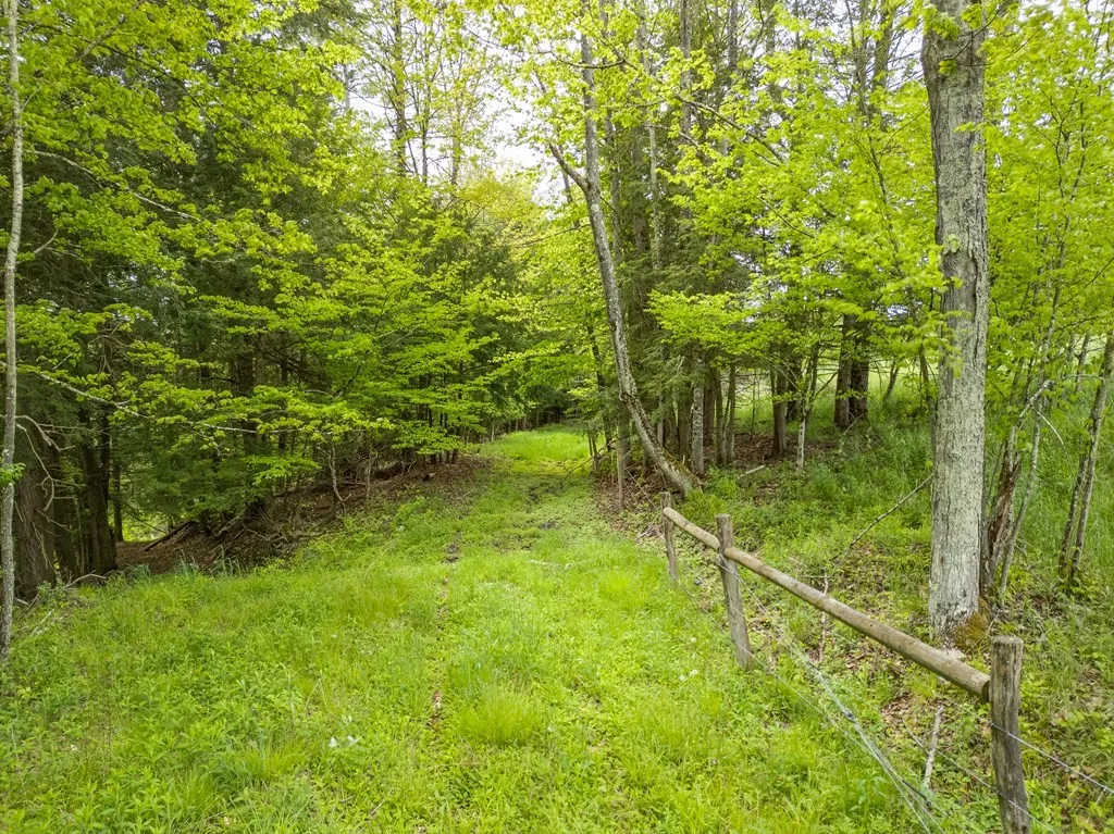 0 Lot A Buckwheat Hollow, None, Pennsylvania None, Lawrence Twp, Pennsylvania 16929, ,Land,Closed,0 Lot A Buckwheat Hollow, None, Pennsylvania None,EC274400