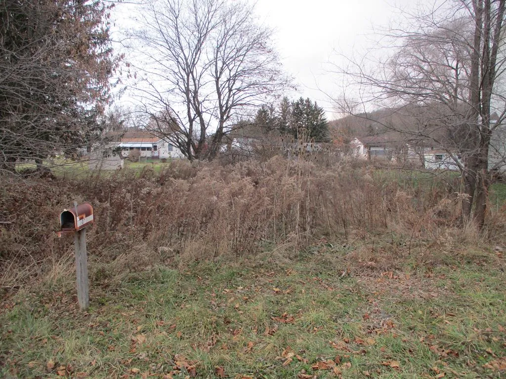 153 Empire Drive, Horseheads, New York 14845, Horseheads, New York 14845, ,Land,For Sale,153 Empire Drive, Horseheads, New York 14845,0,EC278082