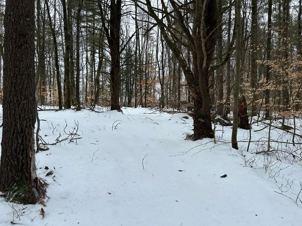 0 Mitchellsville Hill Road, Urbana, New York 14840, Urbana, New York 14840, ,Land,For Sale,0 Mitchellsville Hill Road, Urbana, New York 14840,EC278163