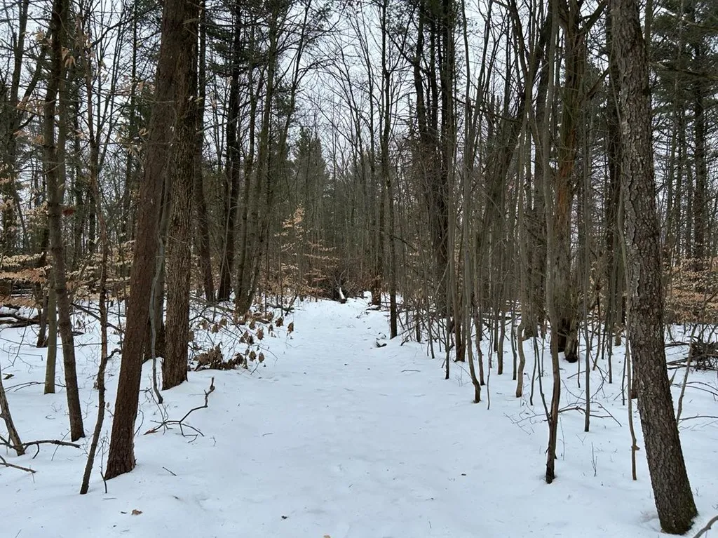 0 Mitchellsville Hill Road, Urbana, New York 14840, Urbana, New York 14840, ,Land,For Sale,0 Mitchellsville Hill Road, Urbana, New York 14840,EC278163