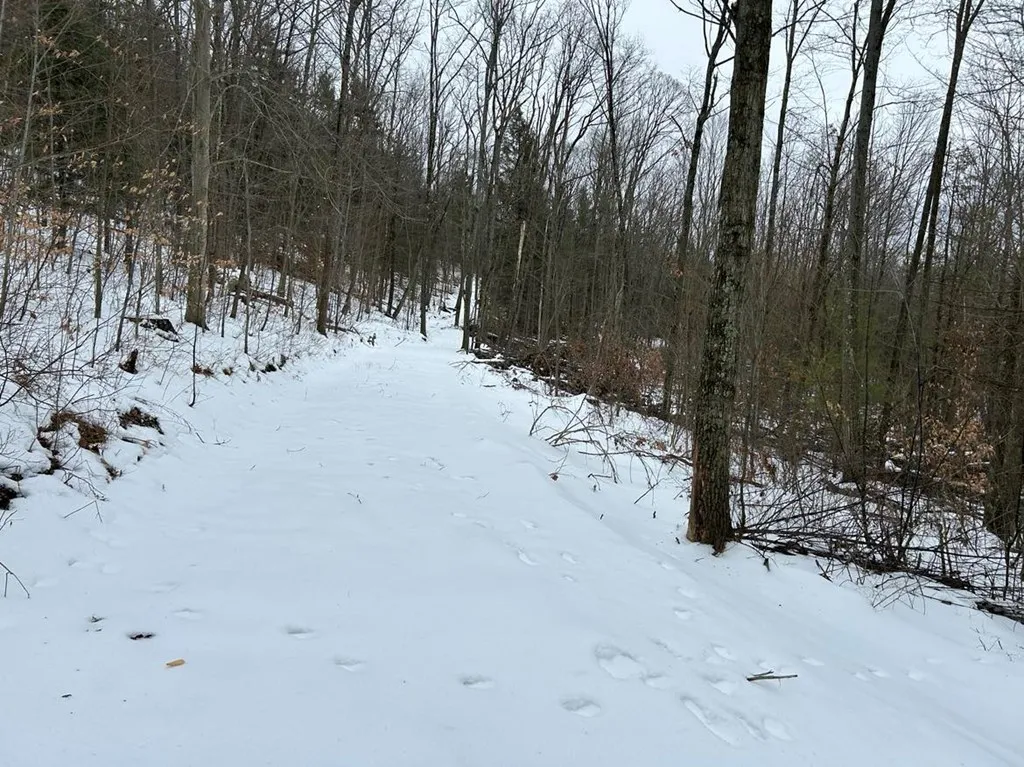 0 Mitchellsville Hill Road, Urbana, New York 14840, Urbana, New York 14840, ,Land,For Sale,0 Mitchellsville Hill Road, Urbana, New York 14840,EC278163