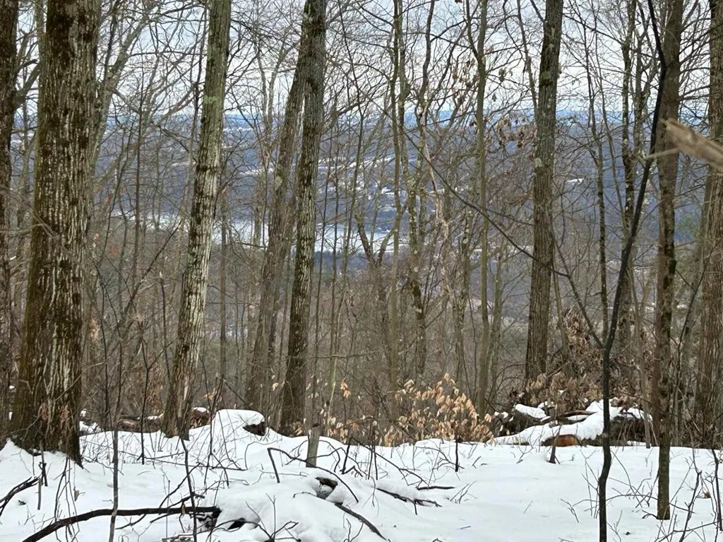 0 Mitchellsville Hill Road, Urbana, New York 14840, Urbana, New York 14840, ,Land,For Sale,0 Mitchellsville Hill Road, Urbana, New York 14840,EC278163
