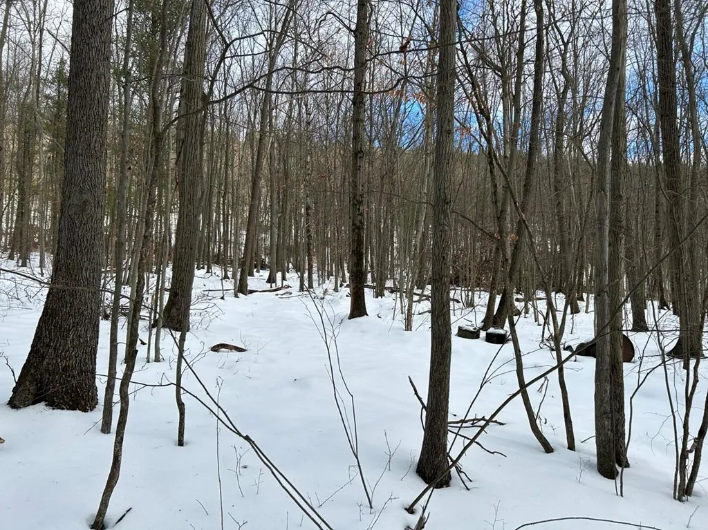 0 Mitchellsville Hill Road, Urbana, New York 14840, Urbana, New York 14840, ,Land,For Sale,0 Mitchellsville Hill Road, Urbana, New York 14840,EC278163