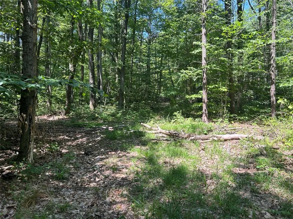 0 Mitchellsville Hill Road, Urbana, New York 14840, Urbana, New York 14840, ,Land,For Sale,0 Mitchellsville Hill Road, Urbana, New York 14840,EC278163