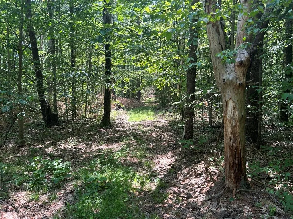0 Mitchellsville Hill Road, Urbana, New York 14840, Urbana, New York 14840, ,Land,For Sale,0 Mitchellsville Hill Road, Urbana, New York 14840,EC278163