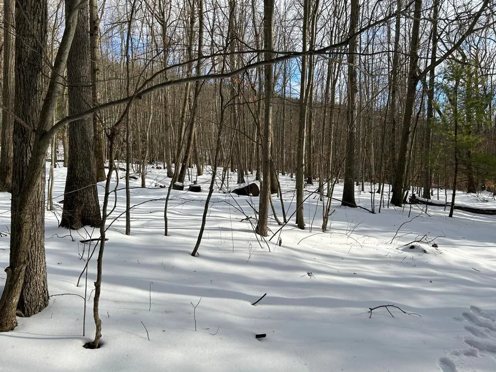 0 Mitchellsville Hill Road, Urbana, New York 14840, Urbana, New York 14840, ,Land,For Sale,0 Mitchellsville Hill Road, Urbana, New York 14840,EC278163