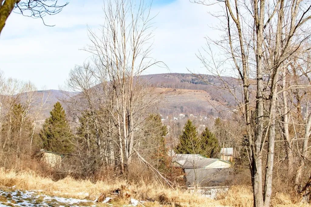 0 West First Street, Corning-city, New York 14830, Corning City, New York 14830, ,Land,For Sale,0 West First Street, Corning-city, New York 14830,EC278175