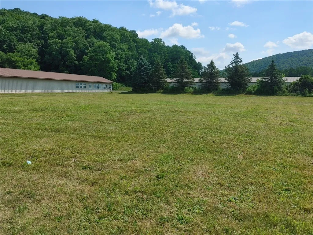 544 Nys Route 414, Catlin, New York 14812, Catlin, New York 14812, ,Land,For Sale,544 Nys Route 414, Catlin, New York 14812,0,EC274914