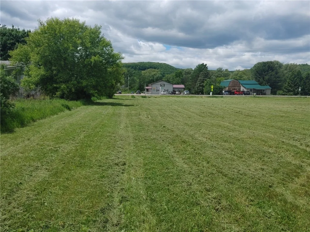 544 Nys Route 414, Catlin, New York 14812, Catlin, New York 14812, ,Land,For Sale,544 Nys Route 414, Catlin, New York 14812,0,EC274914