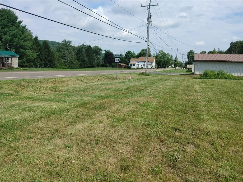 544 Nys Route 414, Catlin, New York 14812, Catlin, New York 14812, ,Land,For Sale,544 Nys Route 414, Catlin, New York 14812,0,EC274914