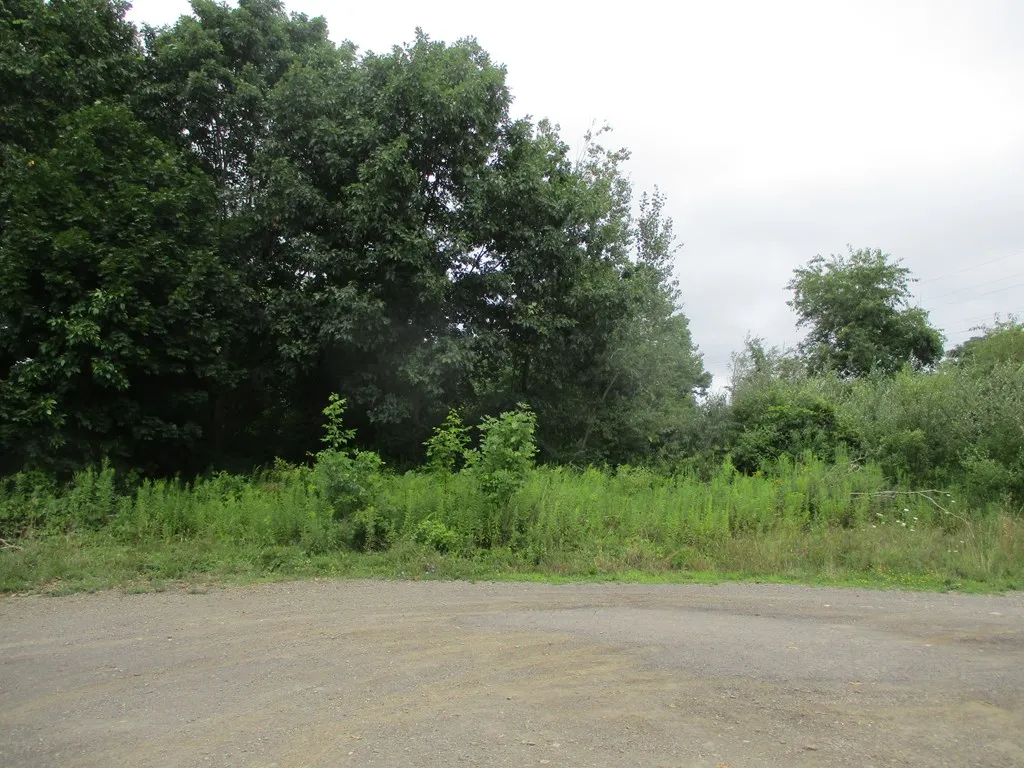 130 Chestnut Drive, Horseheads, New York 14845, Horseheads, New York 14845, ,Land,For Sale,130 Chestnut Drive, Horseheads, New York 14845,0,EC276164