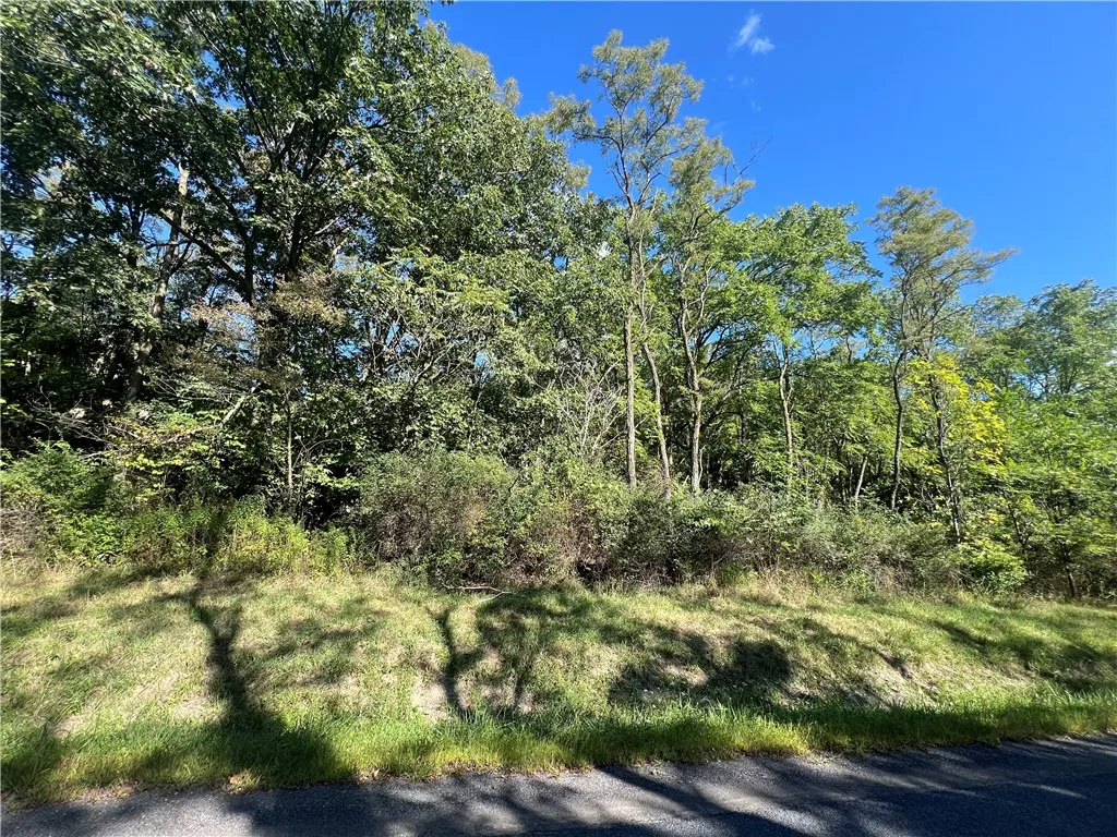 00 Wicks Road, Montour, New York 14865, Montour, New York 14865, ,Land,For Sale,00 Wicks Road, Montour, New York 14865,0,EC278393
