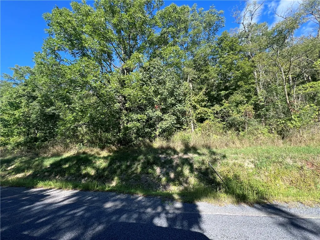 00 Wicks Road, Montour, New York 14865, Montour, New York 14865, ,Land,For Sale,00 Wicks Road, Montour, New York 14865,0,EC278393