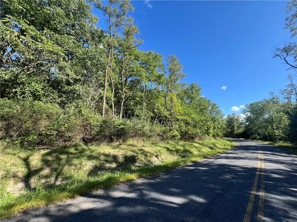 00 Wicks Road, Montour, New York 14865, Montour, New York 14865, ,Land,For Sale,00 Wicks Road, Montour, New York 14865,0,EC278393