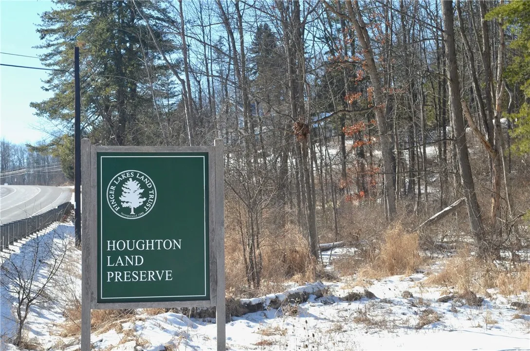 Hiking trails - LOOK through the trees - That's your house!