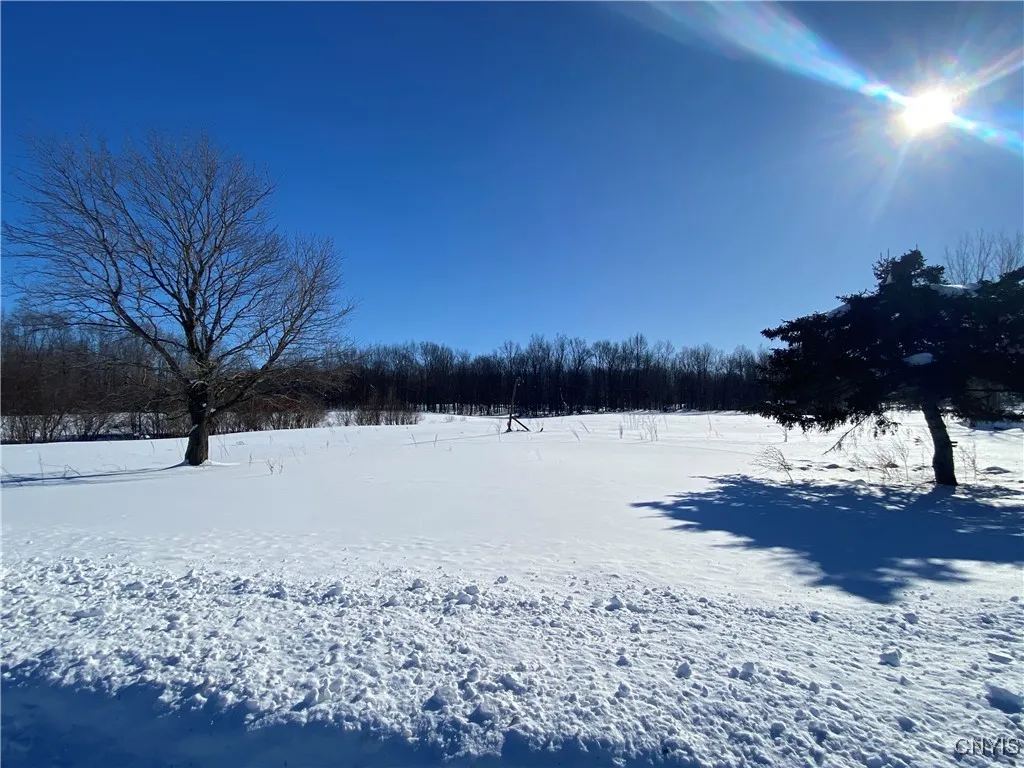 19345 Cady Road, Hounsfield, New York 13606, Hounsfield, New York 13606, ,Land,For Sale,19345 Cady Road, Hounsfield, New York 13606,0,S1586704
