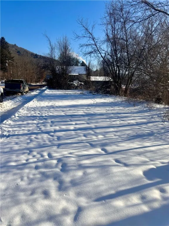 100'x35' yard