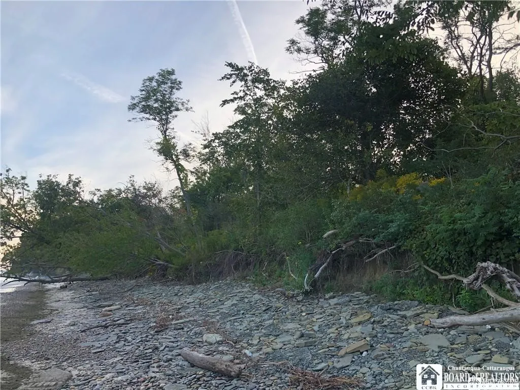 Route 5, Sheridan, New York 14048, Sheridan, New York 14048, ,Land,For Sale,Route 5, Sheridan, New York 14048,R1586545