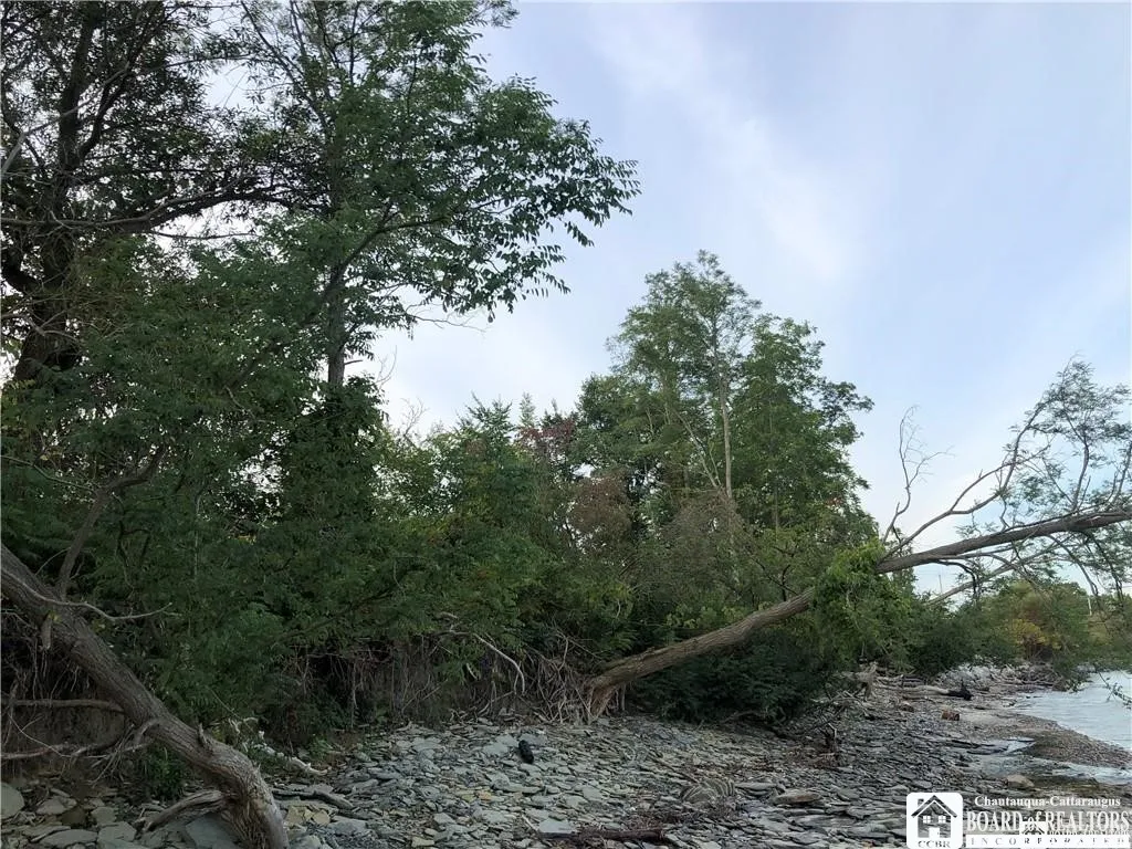 Route 5, Sheridan, New York 14048, Sheridan, New York 14048, ,Land,For Sale,Route 5, Sheridan, New York 14048,R1586545