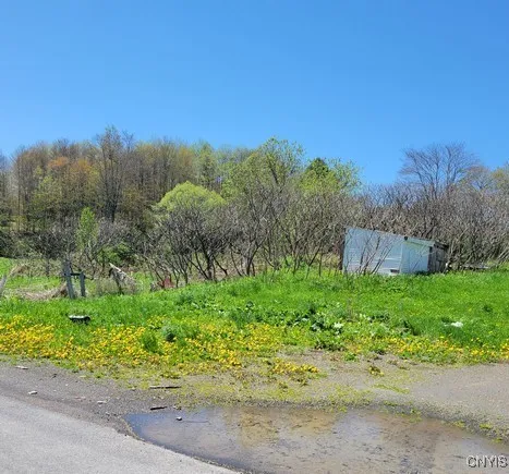 207 South Road, Plainfield, New York 13491, Plainfield, New York 13491, 4 Bedrooms Bedrooms, 8 Rooms Rooms,1 BathroomBathrooms,Residential,Closed,207 South Road, Plainfield, New York 13491,0,S1586946