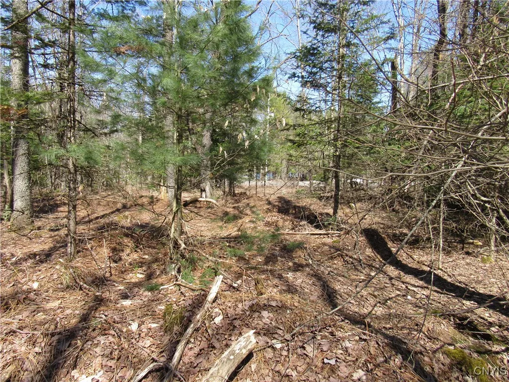1018 South Road, Forestport, New York 13338, Forestport, New York 13338, ,Land,For Sale,1018 South Road, Forestport, New York 13338,0,S1587044