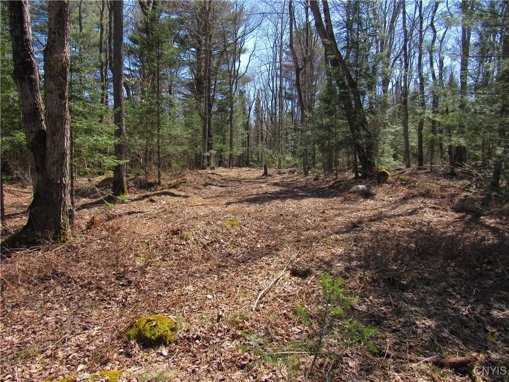 1018 South Road, Forestport, New York 13338, Forestport, New York 13338, ,Land,For Sale,1018 South Road, Forestport, New York 13338,0,S1587044