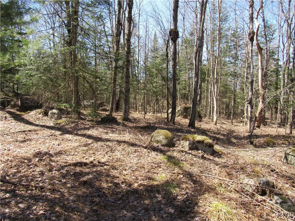 1018 South Road, Forestport, New York 13338, Forestport, New York 13338, ,Land,For Sale,1018 South Road, Forestport, New York 13338,0,S1587044