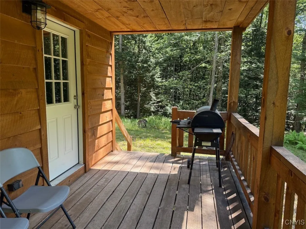 223 Lewis Road, Constantia, New York 13044, Constantia, New York 13044, 1 Bedroom Bedrooms, ,1 BathroomBathrooms,Land,For Sale,223 Lewis Road, Constantia, New York 13044,S1586973