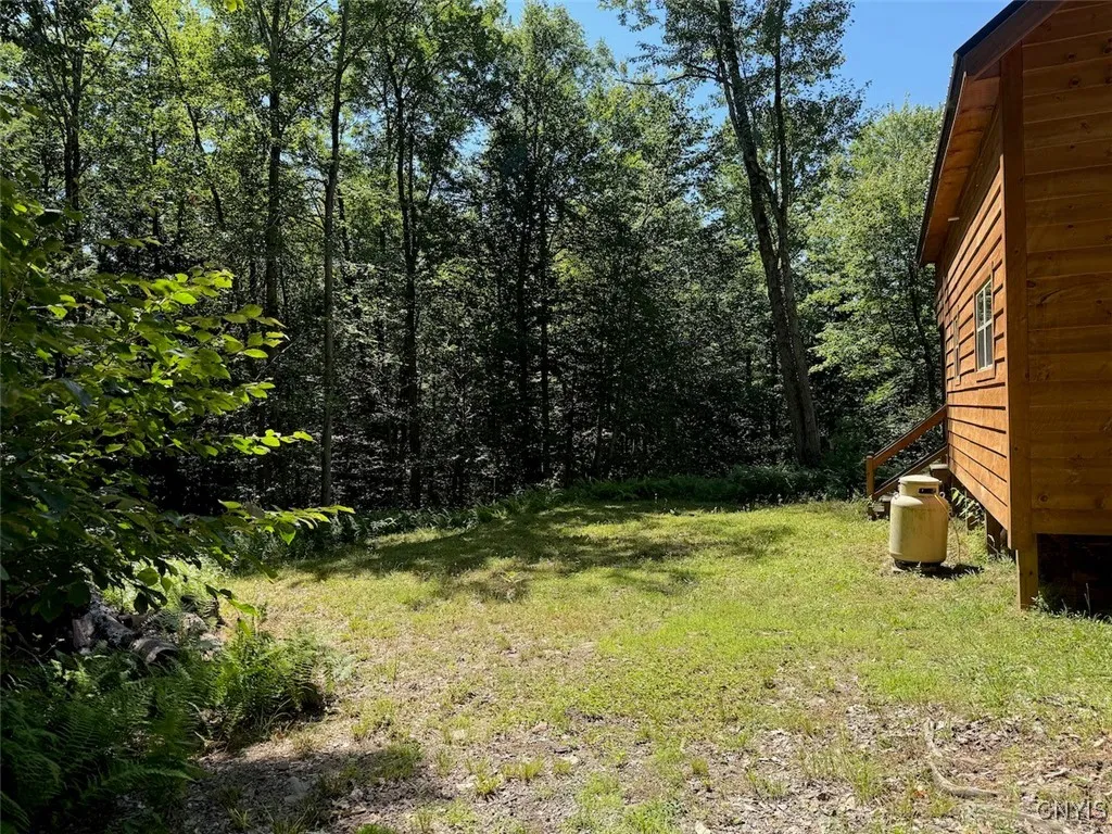 223 Lewis Road, Constantia, New York 13044, Constantia, New York 13044, 1 Bedroom Bedrooms, ,1 BathroomBathrooms,Land,For Sale,223 Lewis Road, Constantia, New York 13044,S1586973