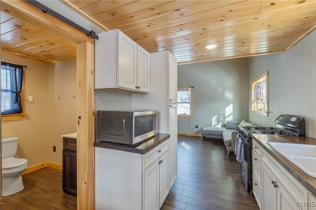 223 Lewis Road, Constantia, New York 13044, Constantia, New York 13044, 1 Bedroom Bedrooms, ,1 BathroomBathrooms,Land,For Sale,223 Lewis Road, Constantia, New York 13044,S1586973