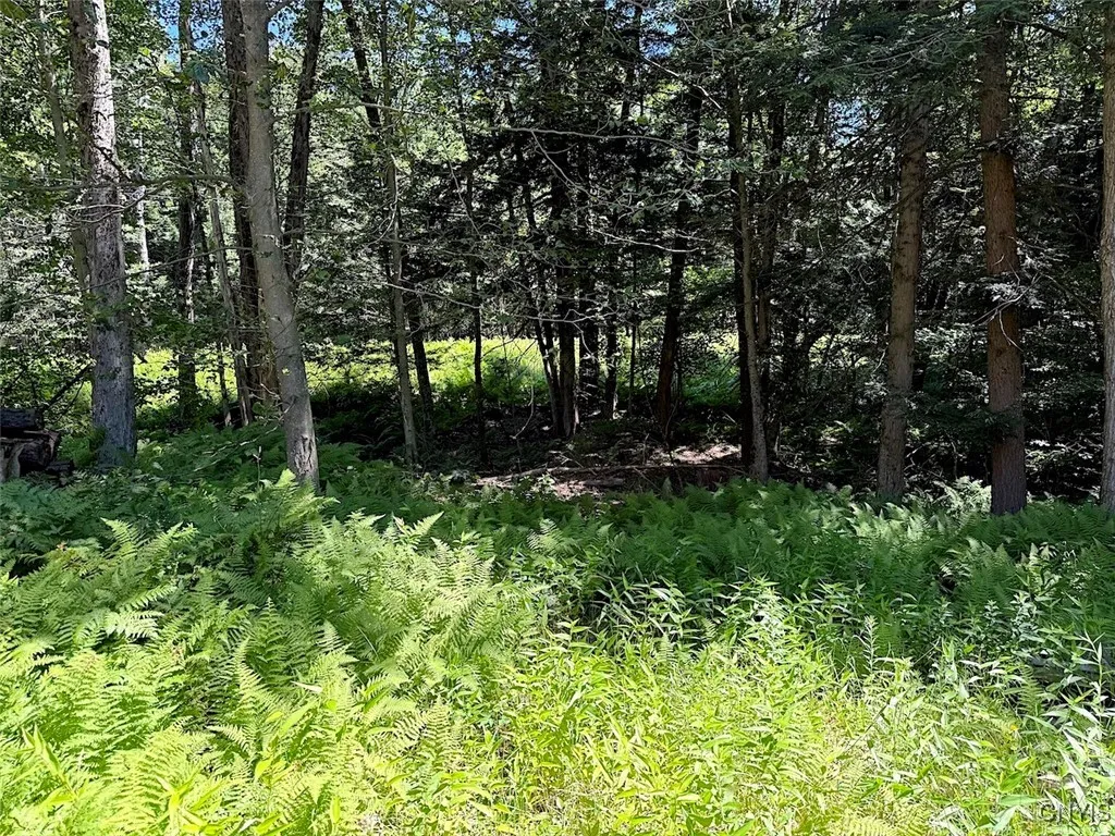 223 Lewis Road, Constantia, New York 13044, Constantia, New York 13044, 1 Bedroom Bedrooms, ,1 BathroomBathrooms,Land,For Sale,223 Lewis Road, Constantia, New York 13044,S1586973