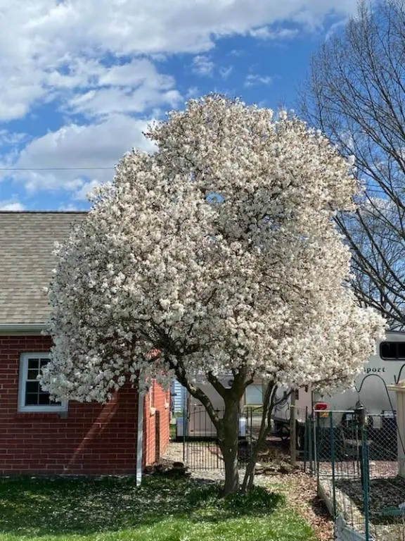 27 Orchard Park Road, Southport, New York 14871, Southport, New York 14871, 2 Bedrooms Bedrooms, 5 Rooms Rooms,1 BathroomBathrooms,Residential,Closed,27 Orchard Park Road, Southport, New York 14871,0,EC278447