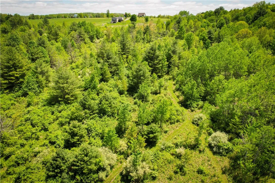 200 Cumber Road, Barton, New York 13734, Barton, New York 13734, ,Land,For Sale,200 Cumber Road, Barton, New York 13734,R1587362