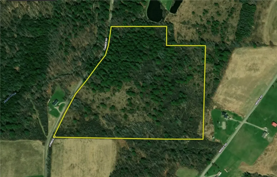 200 Cumber Road, Barton, New York 13734, Barton, New York 13734, ,Land,For Sale,200 Cumber Road, Barton, New York 13734,R1587362