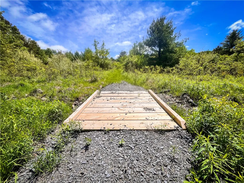 200 Cumber Road, Barton, New York 13734, Barton, New York 13734, ,Land,For Sale,200 Cumber Road, Barton, New York 13734,R1587362